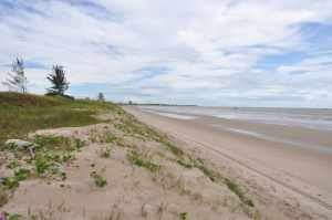 Praia de Guaxindiba  - Praias-360