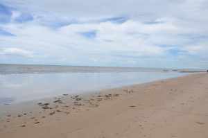 Praia de Ponta Buena