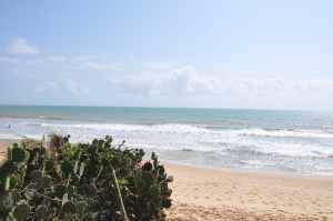 Praia de Ponta Negra - Praias-360