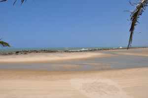 Praia de Camurupim - Praias-360
