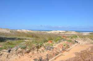 Praia Gaúcha  - Praias-360