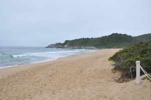 Praia do Pinho 