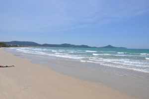 Praia Canto Grande  - Praias-360