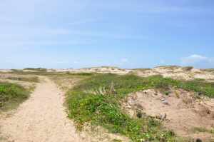 Praia de Atalaia Nova 