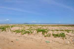 Praia de Jatobá 