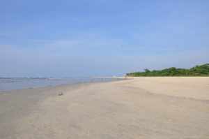 Praia da Ponta de Guaratuba - Praias-360