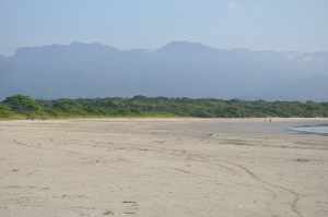 Praia da Ponta de Itaguaré