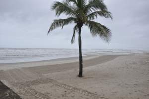 Praia São Paulo  - Praias-360