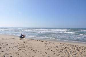 Praia de Itamambuca  - Praias-360