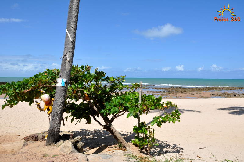 Praia de Carapibus Praia de Carapibus
